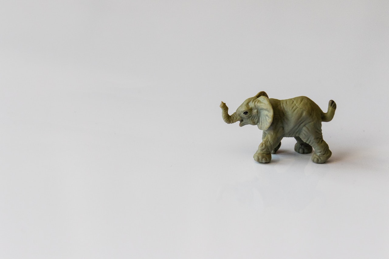 People Management – The Elephant In The Room